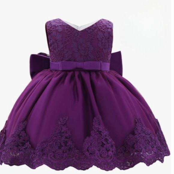 NWOT Dressy Daisy Baby Girl Dress Embroidered - Picture 3 of 8